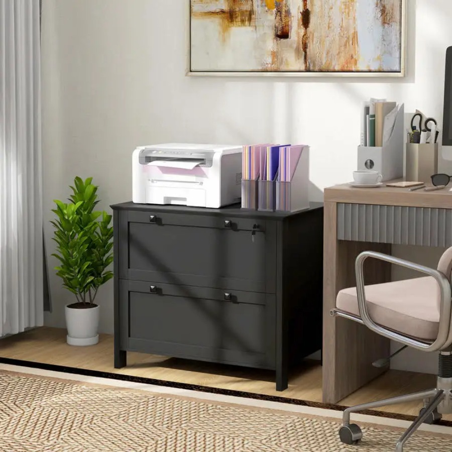 Lateral File Cabinet, 2 Drawer - File Cabinet Lateral บทวิจารณ์และราคา